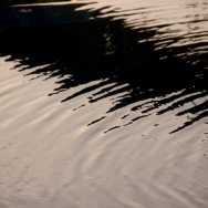 pool(2)10