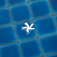 pool5