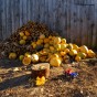 belarus-farm-4-of-6.jpg