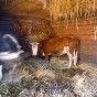 belarus-farm-6-of-6.jpg