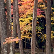 kyoto-09 49