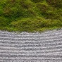 zen 11