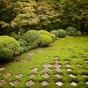 zen 12