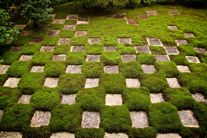zen 13
