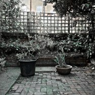 london (1)
