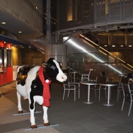 roppongi-01.jpg