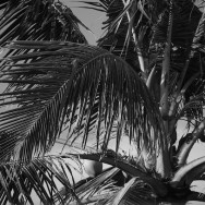 bali spaces27 of 27