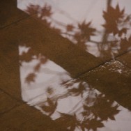 onsen7 of 16