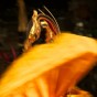 bali dance 18