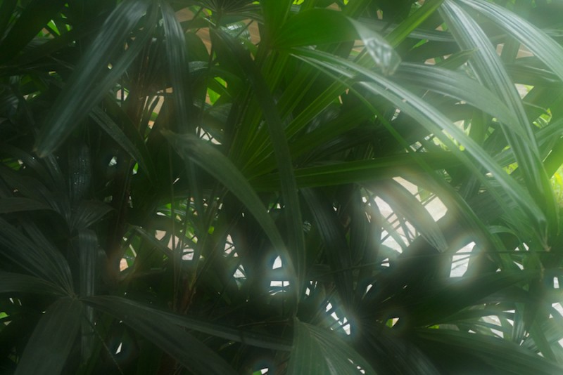 bali rain 14