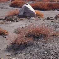 caldera ii 12