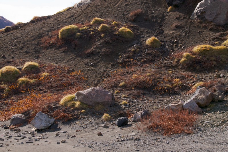 caldera ii 16