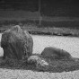 ryoanji 8