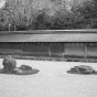 ryoanji 9