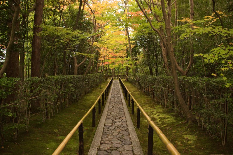 momiji 1 of 20