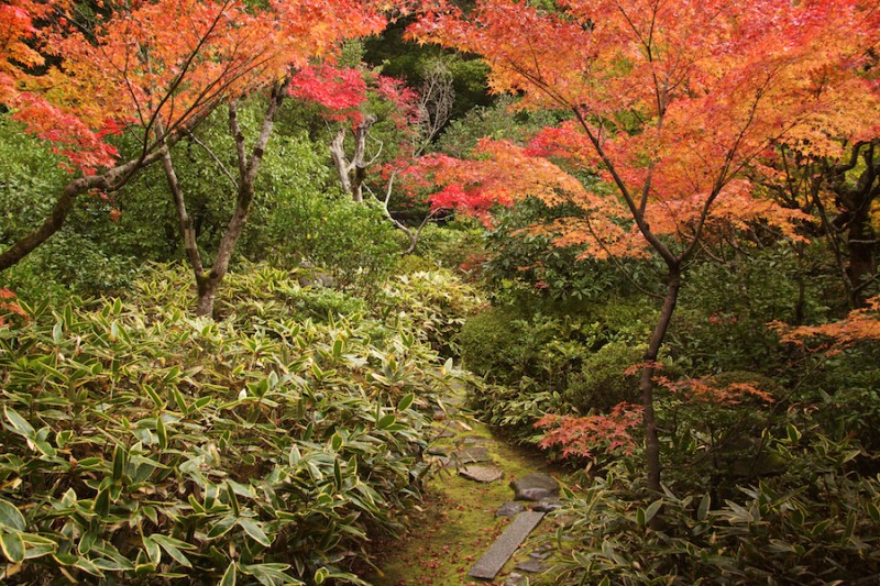 momiji 12 of 20
