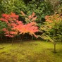 momiji 13 of 20