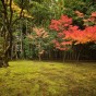 momiji 14 of 20