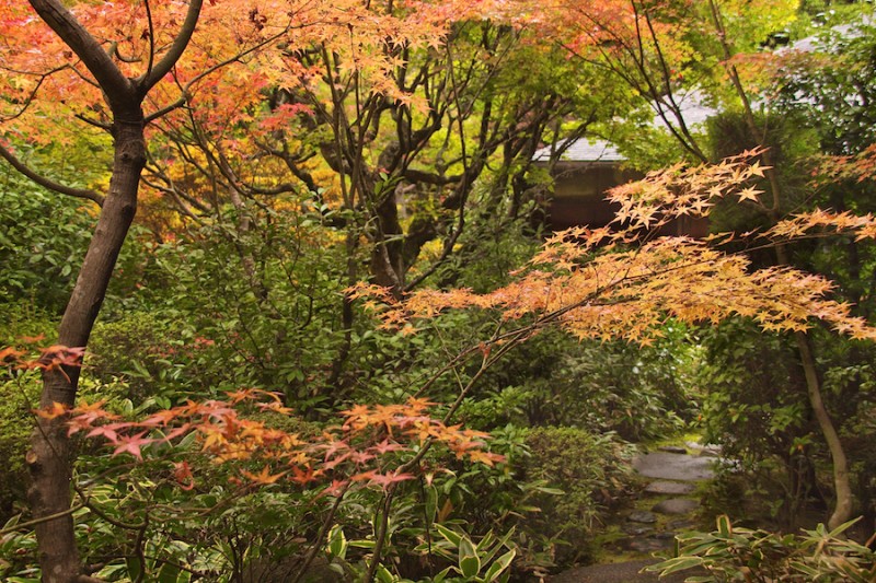 momiji 15 of 20