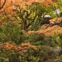 momiji 15 of 20
