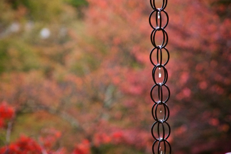 momiji 16 of 21