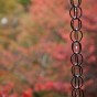 momiji 16 of 21