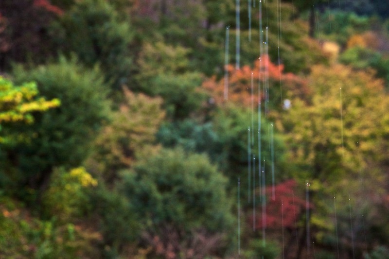 momiji 19 of 21