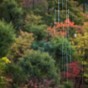 momiji 19 of 21