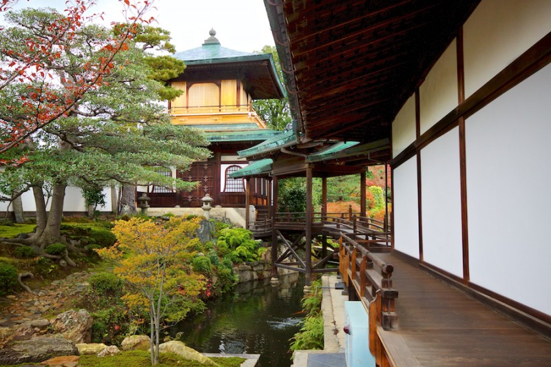 momiji 2 of 20