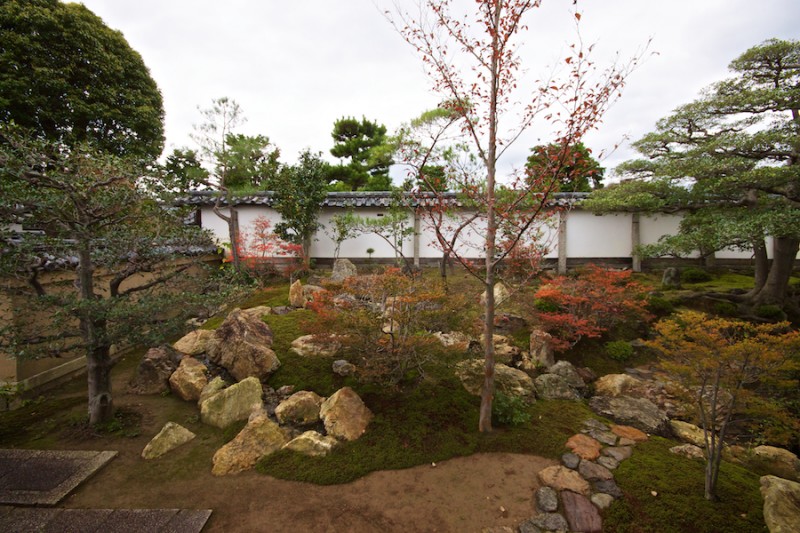momiji 3 of 20