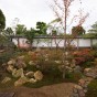 momiji 3 of 20