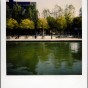 pola 14
