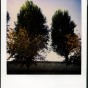 pola 15