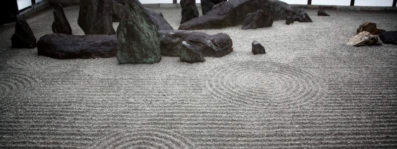 zen 10