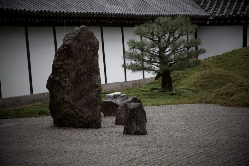 zen 9