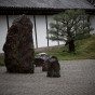zen 9